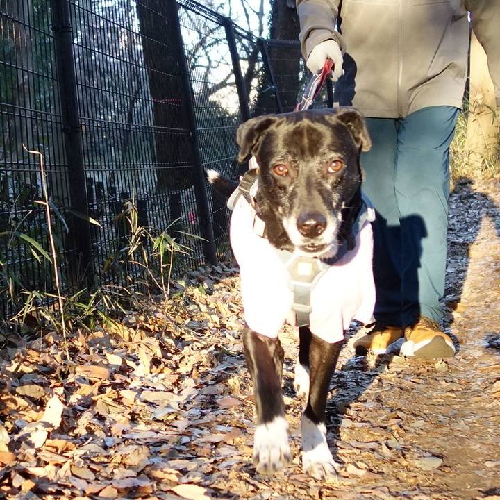 A503df38 e31b 41a2 be36 bc550c20482f 1735775814857