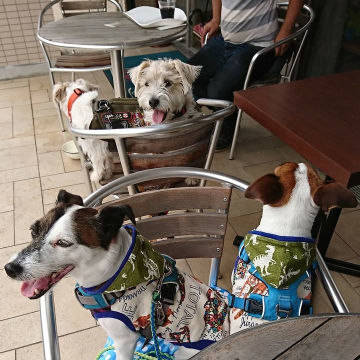 A503ea9c d3b2 4fd8 9a36 b1bead56454c 1589267258874