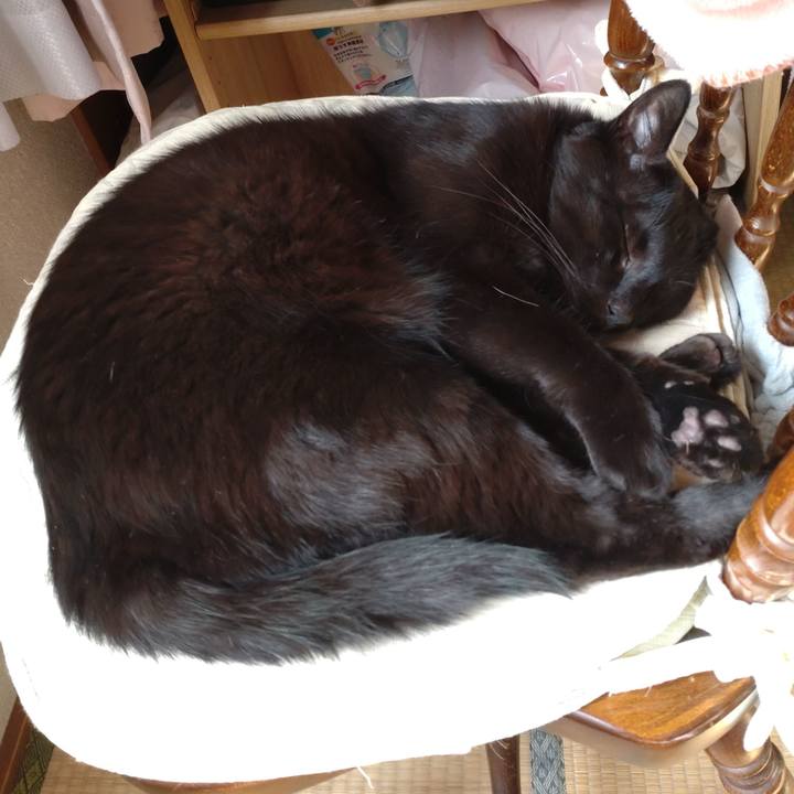 A503f88d 12e1 45a9 88c9 63dd5494d061 1632540070139