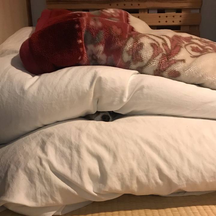 A50421a6 8b9a 4378 bcd9 0f62c42f59ab 1556717523436