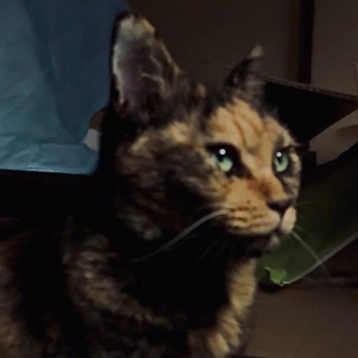 A5042ed8 7cdd 4356 a3bf 4c42e0dcb2a0 1759436908166