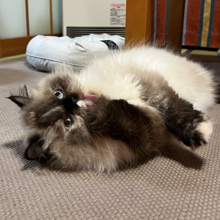 A504a203 c137 409e 8a50 02ea360aae57 1692619498072