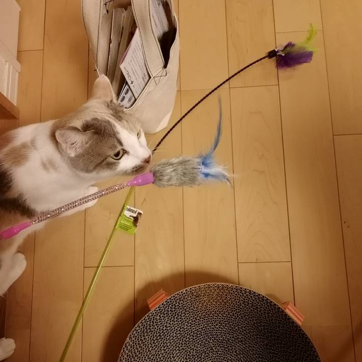 A504aea6 222c 4cc5 9994 20b3ac5c9e02 1540384822839