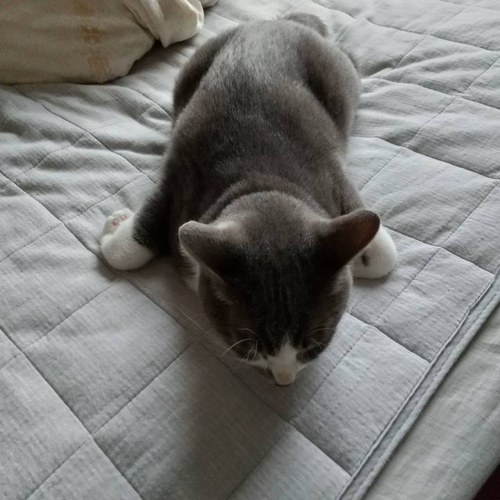 A504b3ee 6e63 40e1 a34a 25211ffd87d1 1622115929205