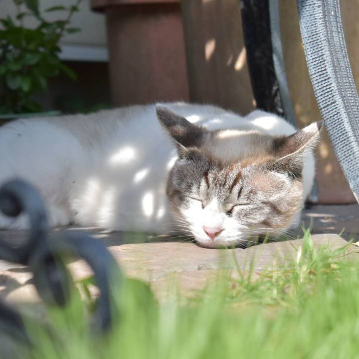 A504f173 c245 4469 9fd5 3d43af777e2b 1526021451094