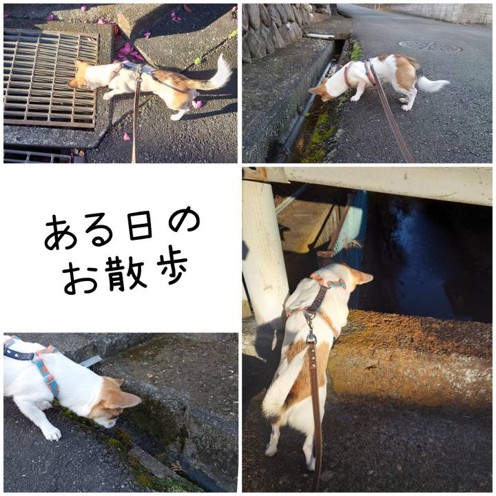 A5051f97 3834 40db 8b29 6e71b7a4375e 1671438879491