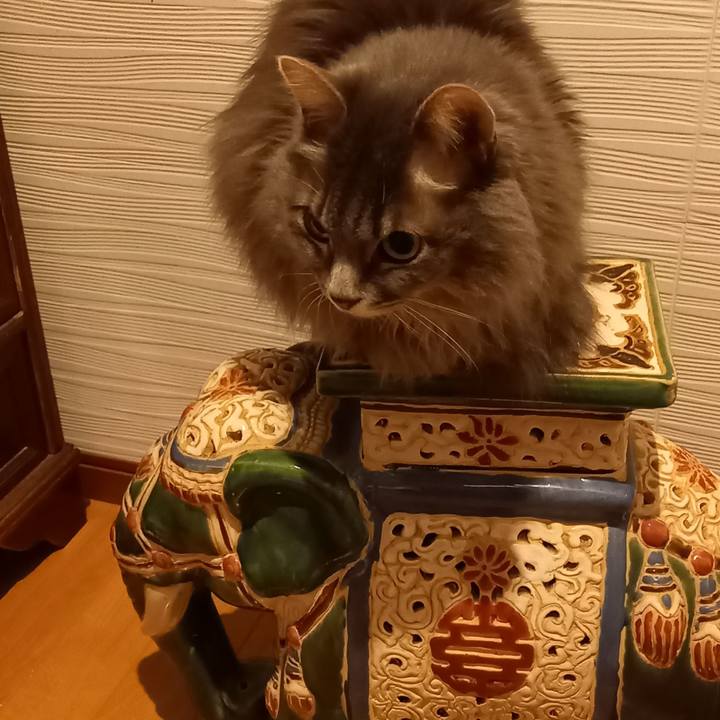 A5052ef5 2e93 4904 bb04 5ec423266623 1640248647872