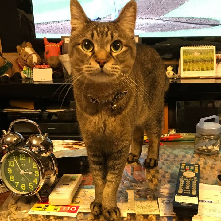 A5053c86 5132 4434 bbbe 418b0009cd74 1527421073352