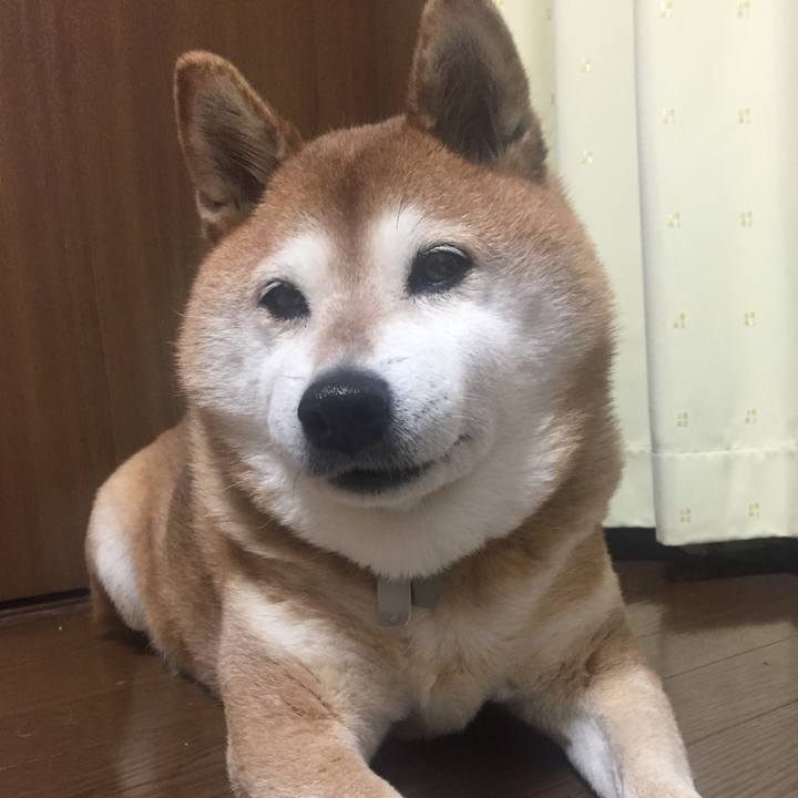 A50564ac 35d2 461d ada2 d8a617fc1dcd 1518349879437