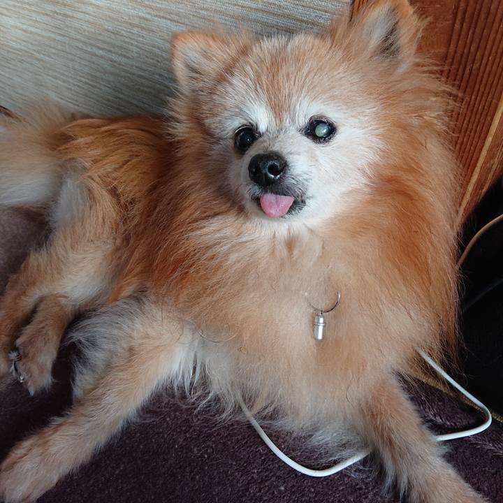 A5056a9c dcff 4d2f b4c0 558d36173b09 1685608427701