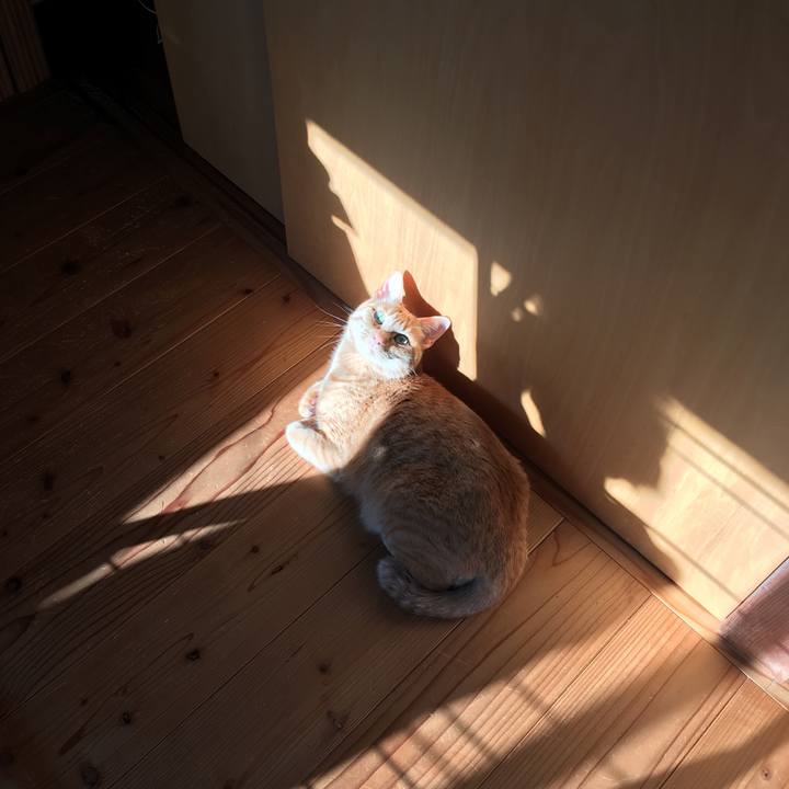 A5058b6b 0003 4586 9712 9d02ea71ced2 1552608754566