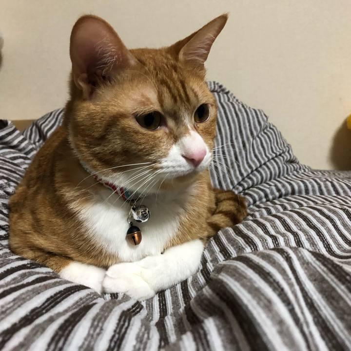 A505aae8 0e45 4d9a a1d6 8201194da9c8 1559636057119