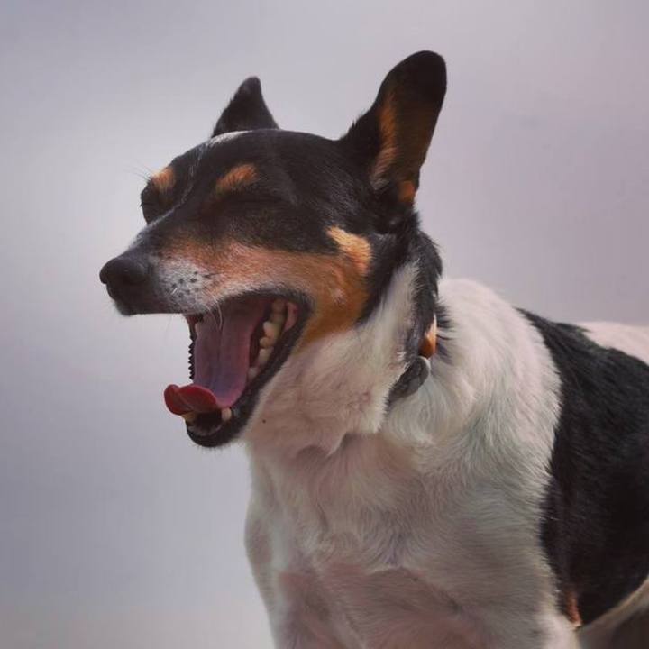 A505ea61 c5db 4687 ae50 616d9d9f0b42 1703980491736