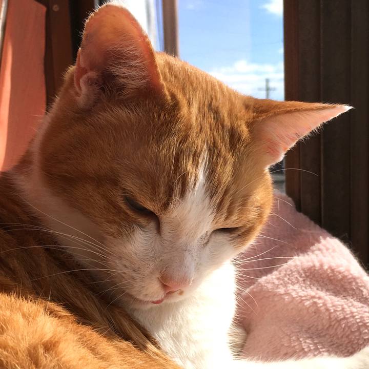 A505f62d b15b 497f 86b5 a881194959b1 1573186514590