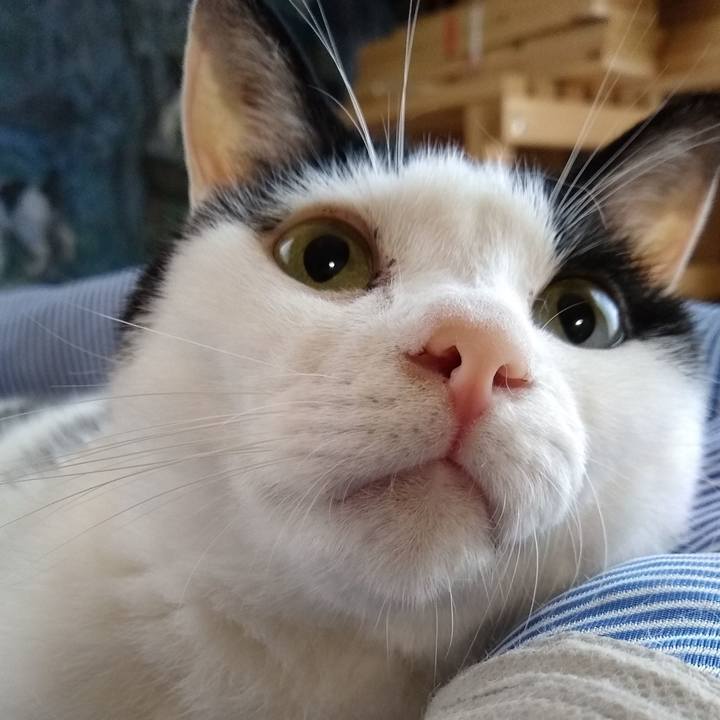 A50601de 0f28 466e 9720 fcacdc4bbd4b 1563148990955