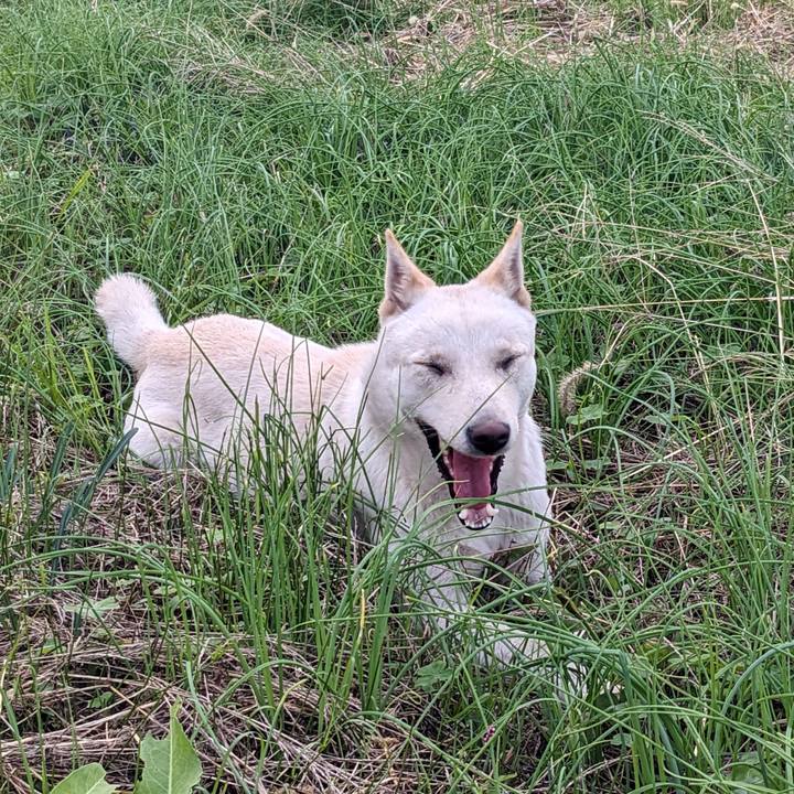 A5062f58 cdce 4669 bd94 9a8201fa1b0d 1761883100692