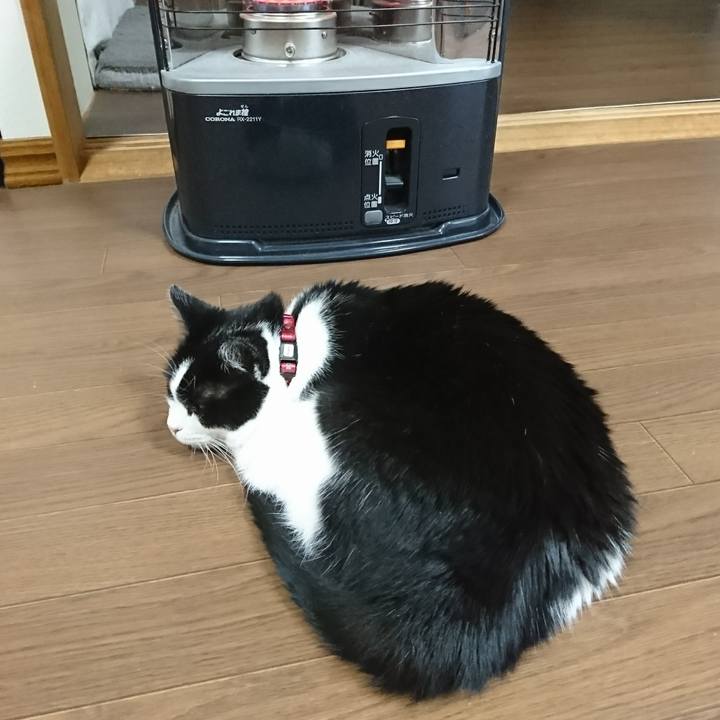 A5063775 1182 48fd 90e9 a22b6df6b89a 1571744037266