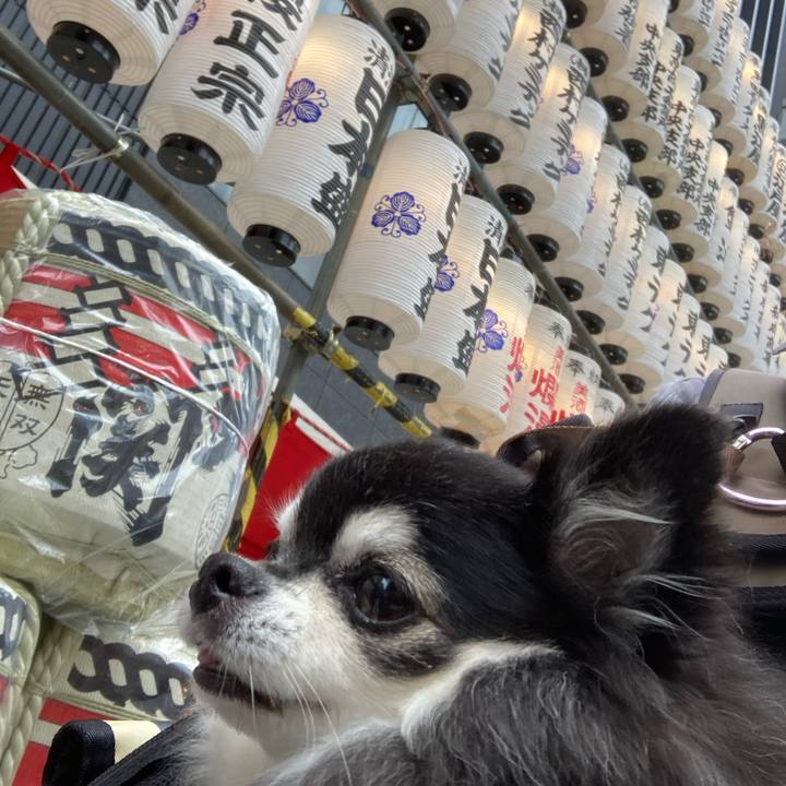 A5063e99 14f3 4218 b6f1 b5b6d07831b2 1760947598722