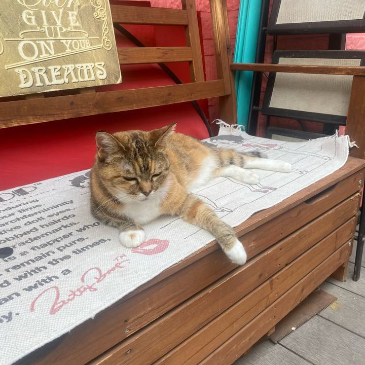 A506d5fc 32f6 4941 88e5 e9f0147c9d70 1749350406747