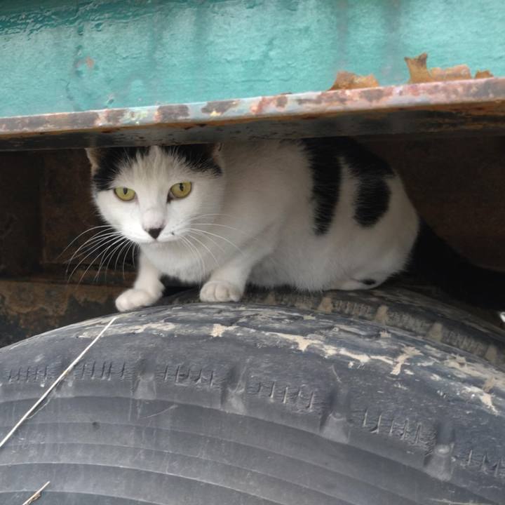 A506e612 49d0 4fbb 9ee4 50ef2208e4be 1729900533626