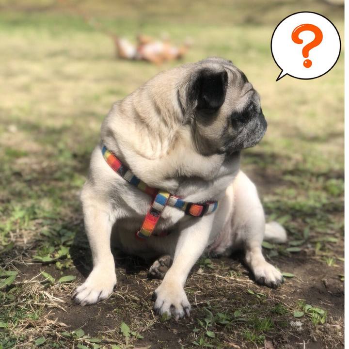 A5070929 0fde 4805 b2b1 5de170b48120 1523147797442