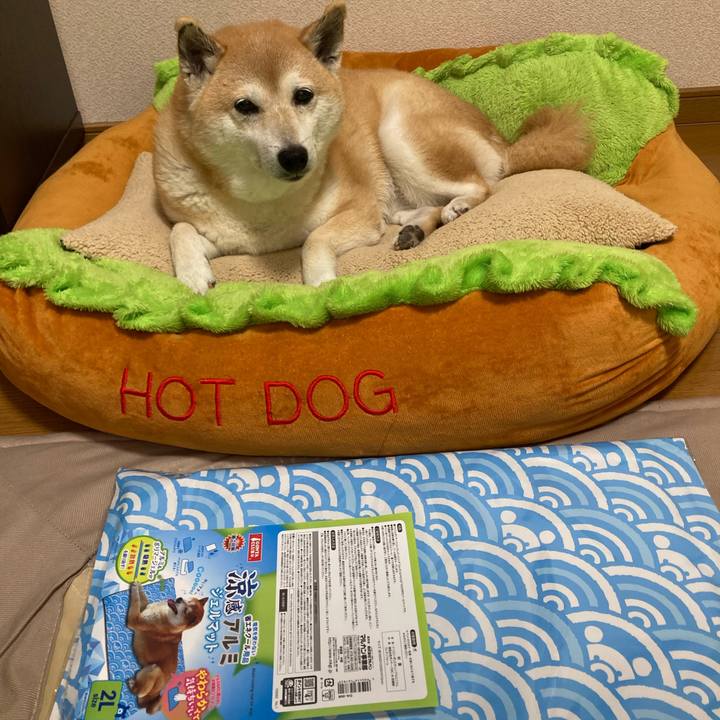 A5073ba6 9982 4d28 8ddd a49881756488 1623155666408