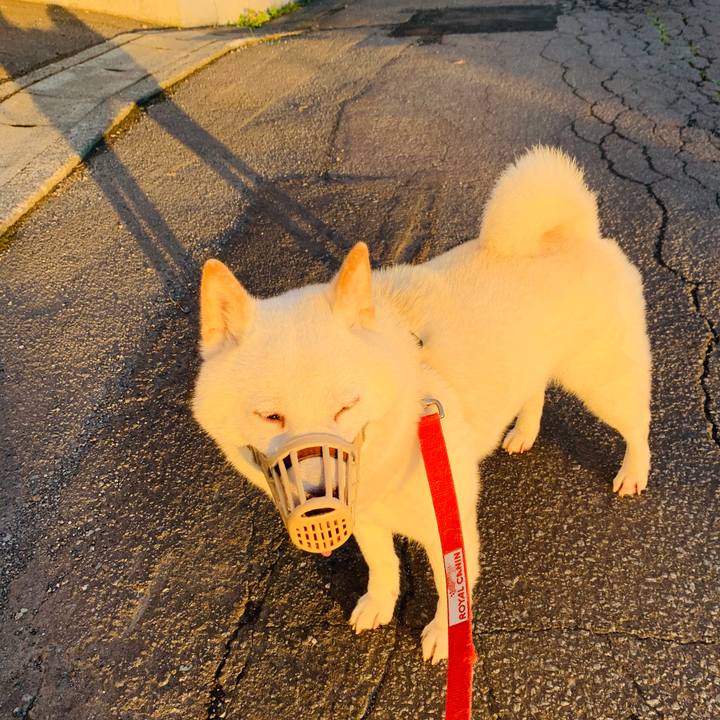 A5074fd9 7cea 4dfc 88ac 91934406ca46 1596920356748