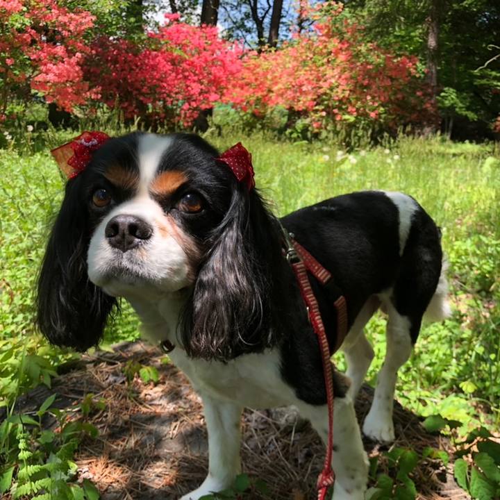 A5075178 b7bb 4c0e 8a15 a87394833e75 1558579983092