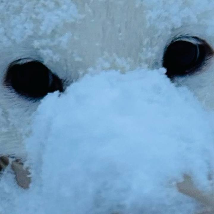 A5079f43 e2aa 4226 816f 958b25f695c2 1738280439458