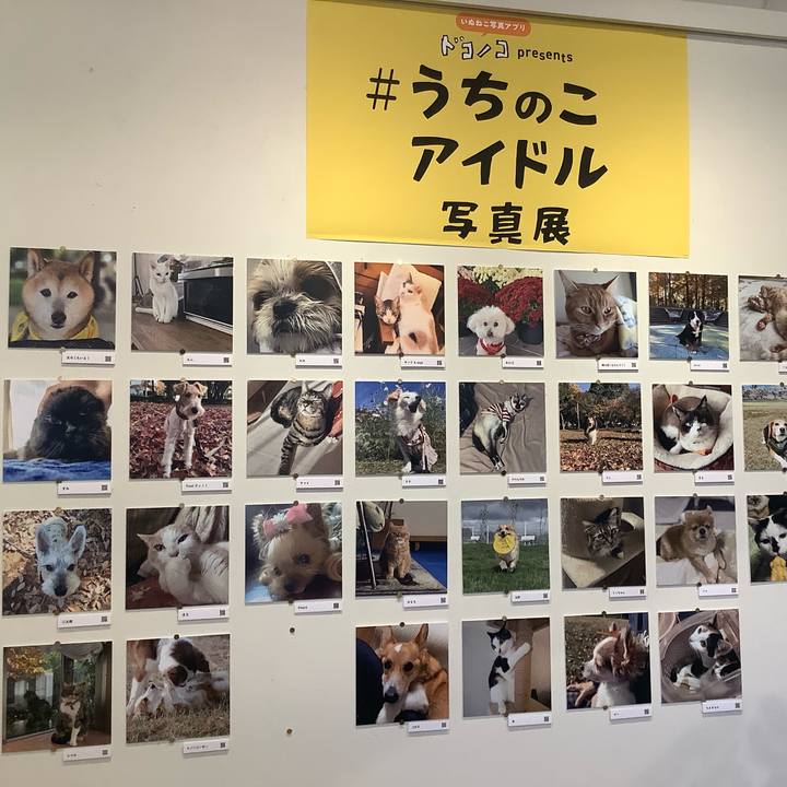 A5079f4c 2863 4b74 9590 7ac9e23eabd9 1766304743148