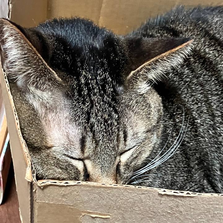 A507bc23 04a2 4e79 95ab cdf6e8383e4f 1766927681674