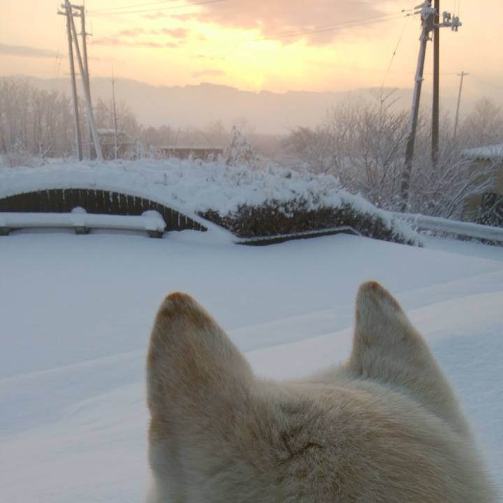 A507cfcb c5e9 466a ae80 4914bea86b12 1517181994024