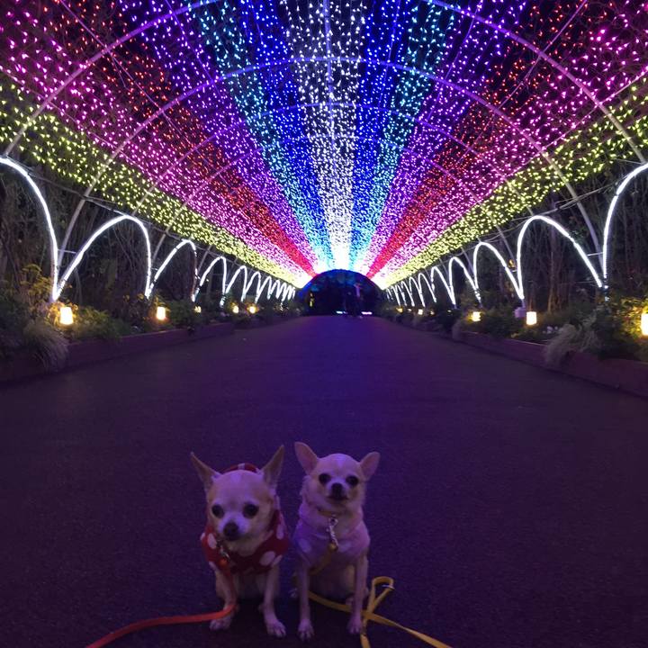 A507f06b 61bb 4312 bd64 88861ad97b64 1574030916930