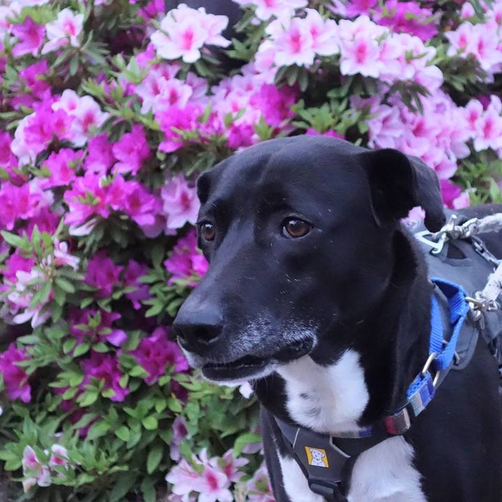 A507ff2f 7d4f 4717 b4a2 a0ebbab1572d 1650709451213