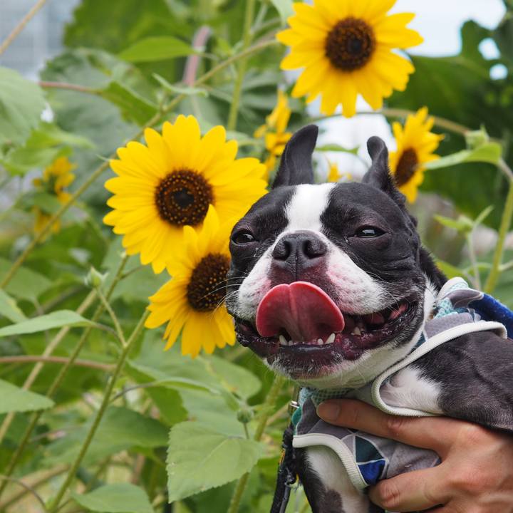 A5081260 d251 4673 b81b 1936536ff57b 1623731390788