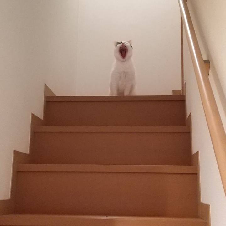 A5081741 073f 4b6f b850 1ad2b836a549 1680788224556