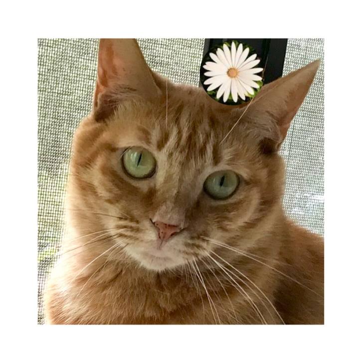 A5081e37 9f77 4511 a965 3d529d4aaf8d 1594362385311