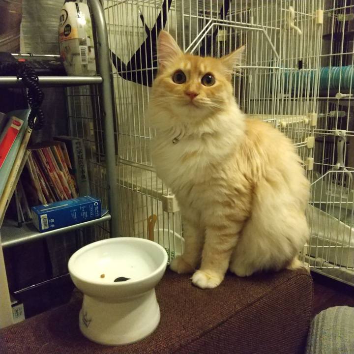 A5082b6f 366e 434c 854f bd4a2905217a 1623066249654