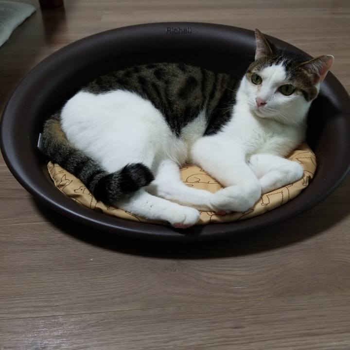 A5083f1b 6b9c 4e9b b65f cf3d24c21d65 1559251080655