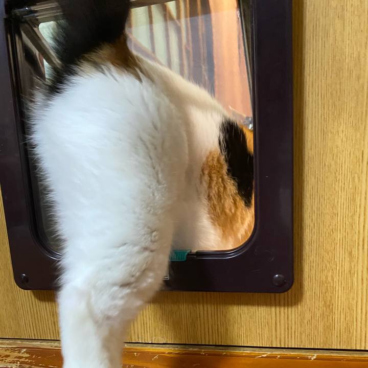 A5085af3 966e 45af b91b 86f7e13e611d 1670795968062