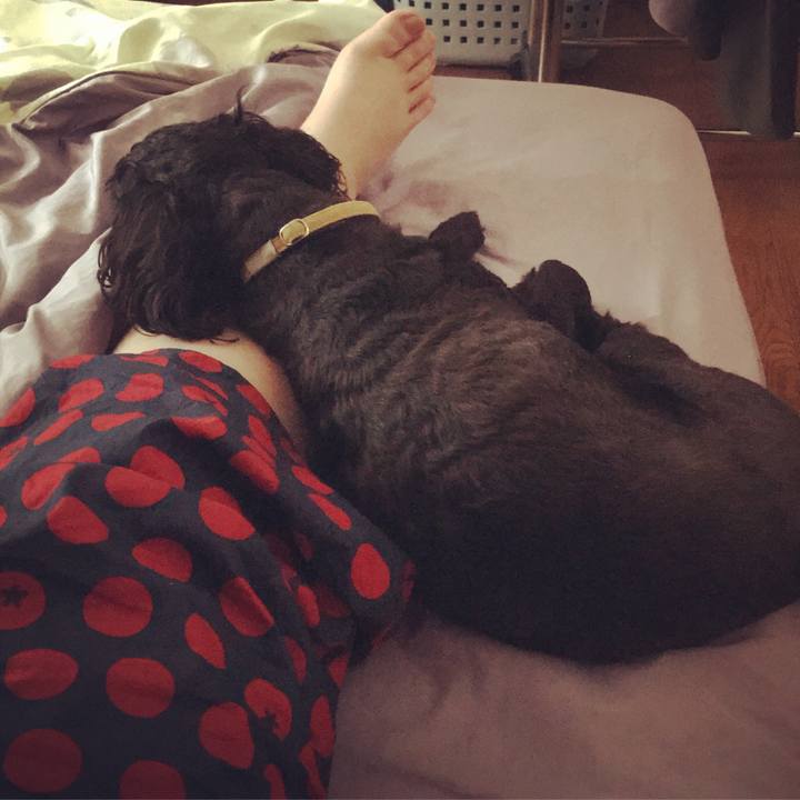 A508738c 0238 4679 ba38 d60c42b4ba3c 1563359806711