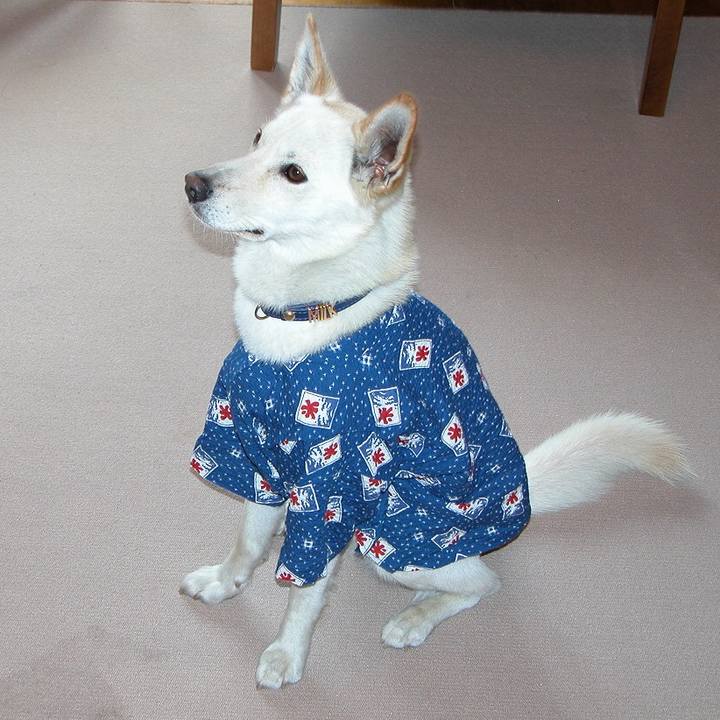 A508a40b dcbb 406b 999f 381690958976 1564741464220