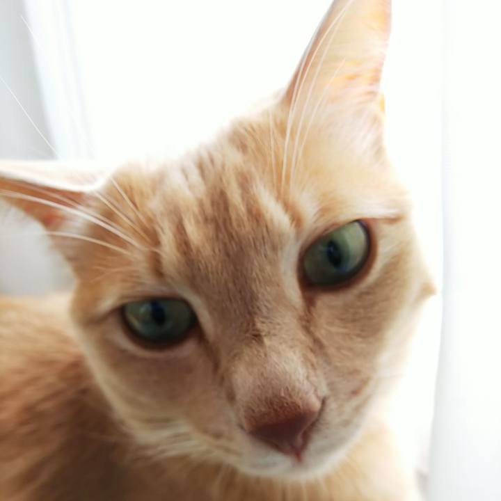 A5098c09 177e 43ff bb3b 11a2e9d91860 1663281461199