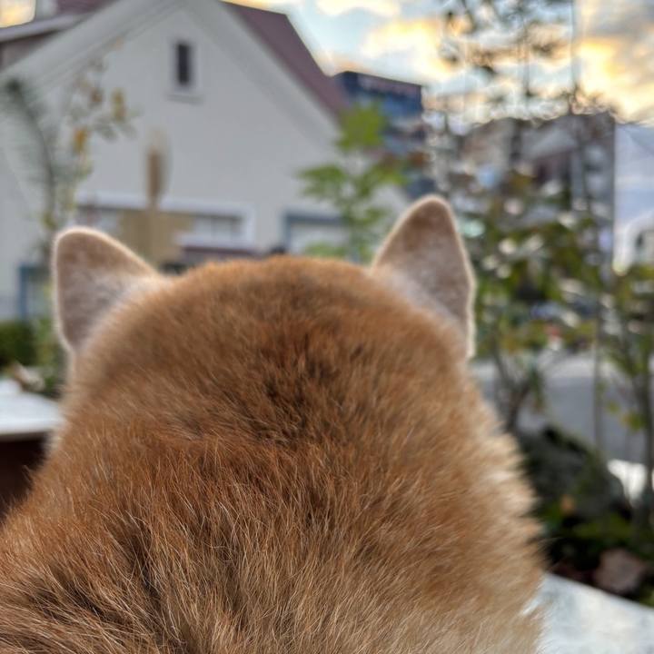 A5099c54 18d3 4306 bab3 df9ec36082a8 1737761707403