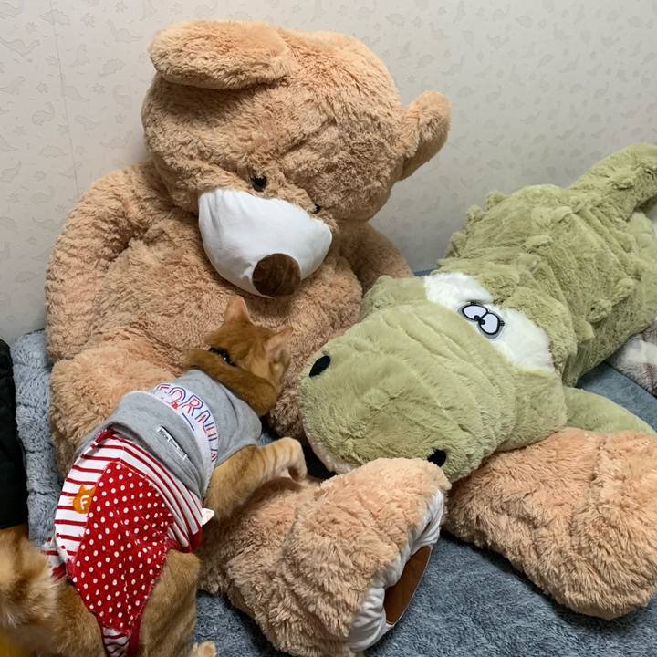 A509ab3d 4ba2 4cf1 b234 52e6606fcd46 1614258879613