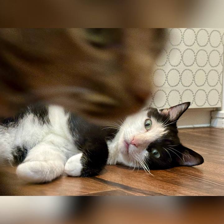 A509ae9b 968f 4bb3 99d9 e0486f4cf361 1726743621486