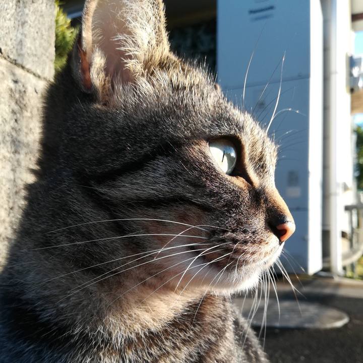 A50a3031 aea7 4a54 836f 9de13c734784 1574587418360