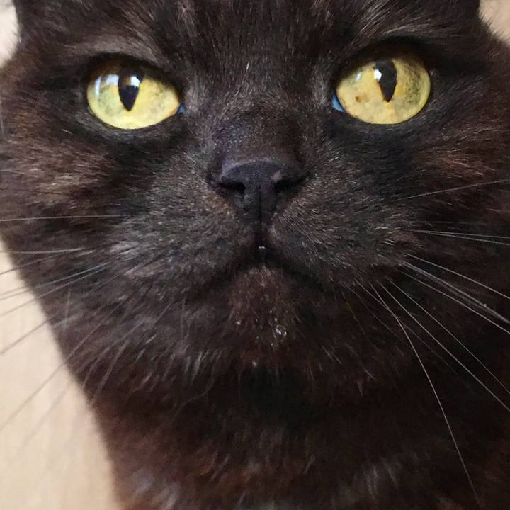 A50a36c1 1900 4250 ab0d b4046c5a53f1 1522554590871