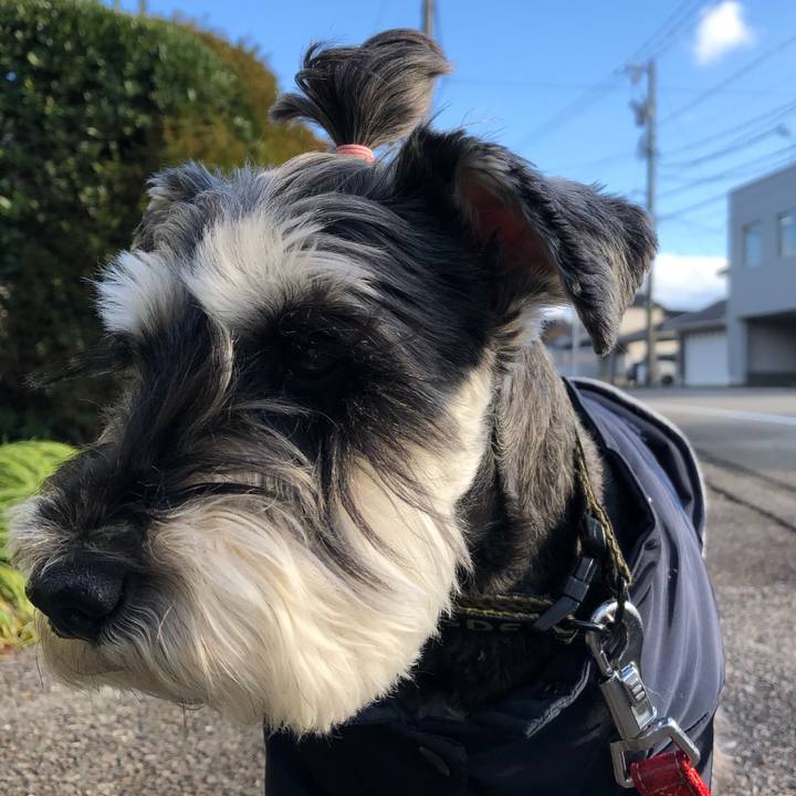 A50a4c6e a8cb 4d15 ae2d af6fb45c0483 1674312994776