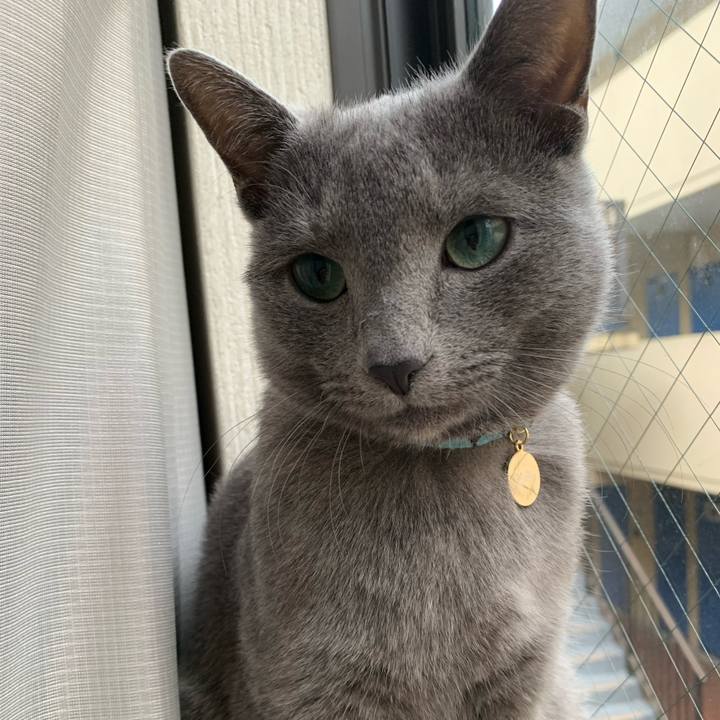 A50a60cc aa4c 4b69 80c2 9a5916421451 1579043110670